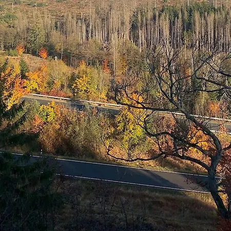 Jermerstein-haeuschen בראונלאגה
