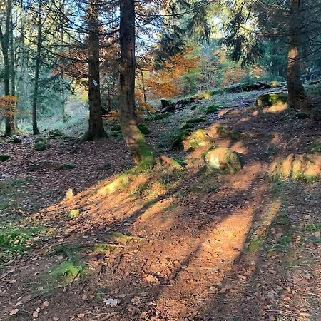 Jermerstein-haeuschen Lägenhet Braunlage