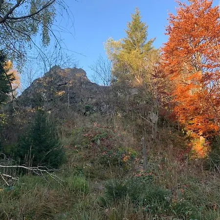 Jermerstein-haeuschen * בראונלאגה