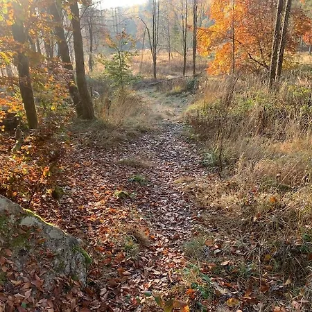 Jermerstein-haeuschen