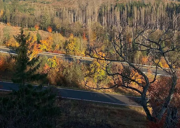 Jermerstein-haeuschen Braunlage