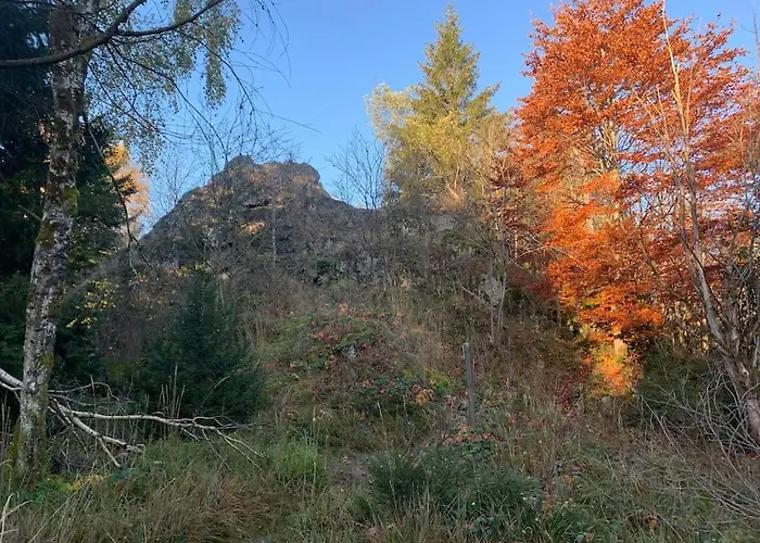Jermerstein-haeuschen * Braunlage